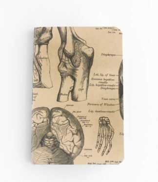 Pocket Notebook - Anatomy (cream)