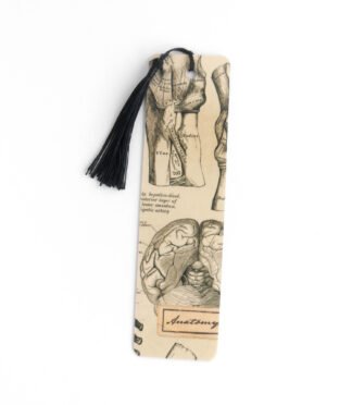 Classic Bookmark - Anatomy (cream)